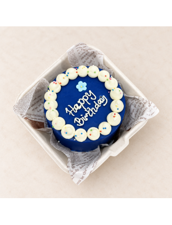 Blue Bento Cake