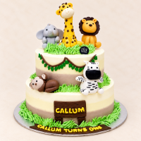 Animal Jungle Cake