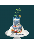 Our Cake Design