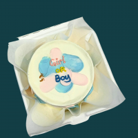 Gender Reveal Bento Cake