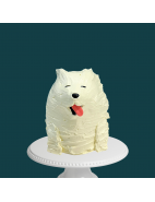 Our Cake Design