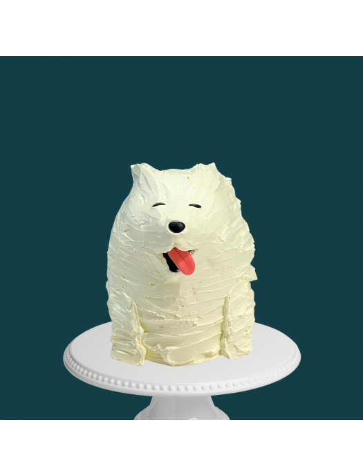 Our Cake Design