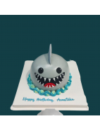 1st Year / Full Month Birthday