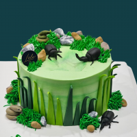 Beetles Bug Cake