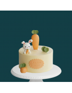 1st Year / Full Month Birthday