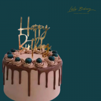 Chocolate Berries Cake