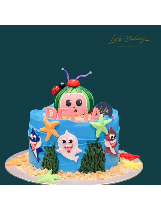 1st Year / Full Month Birthday