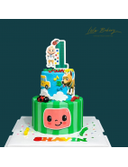 1st Year / Full Month Birthday