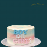Gender Reveal Cake