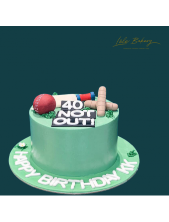 Minimalist Cricket Cake