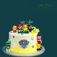 Ombre Paw Patrol Cake