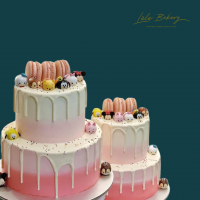 Ombre Tsum Tsum Macarons Cake