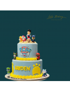 Birthday Cakes for Boys
