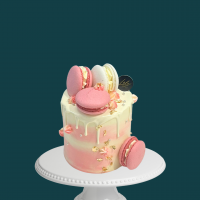 Mini Pink And White Macarons Cake