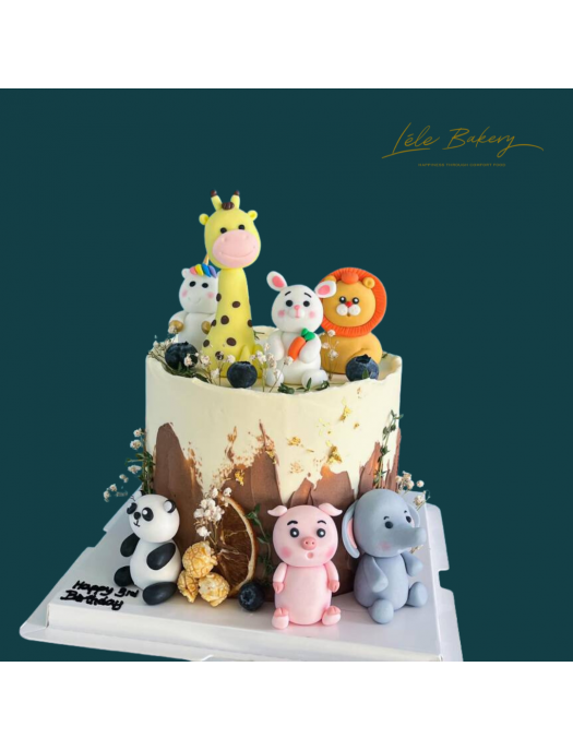 Our Cake Design