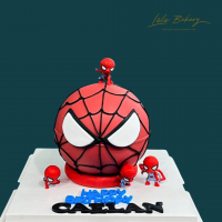 Spiderman Pinata Cake