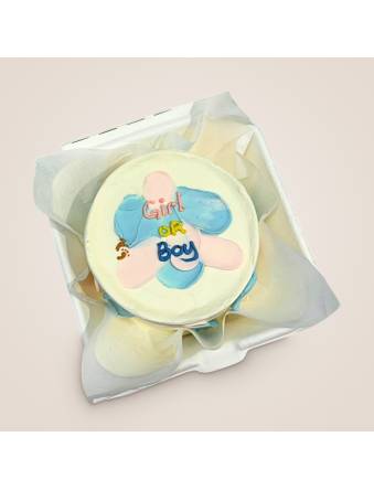 Gender Reveal Bento Cake