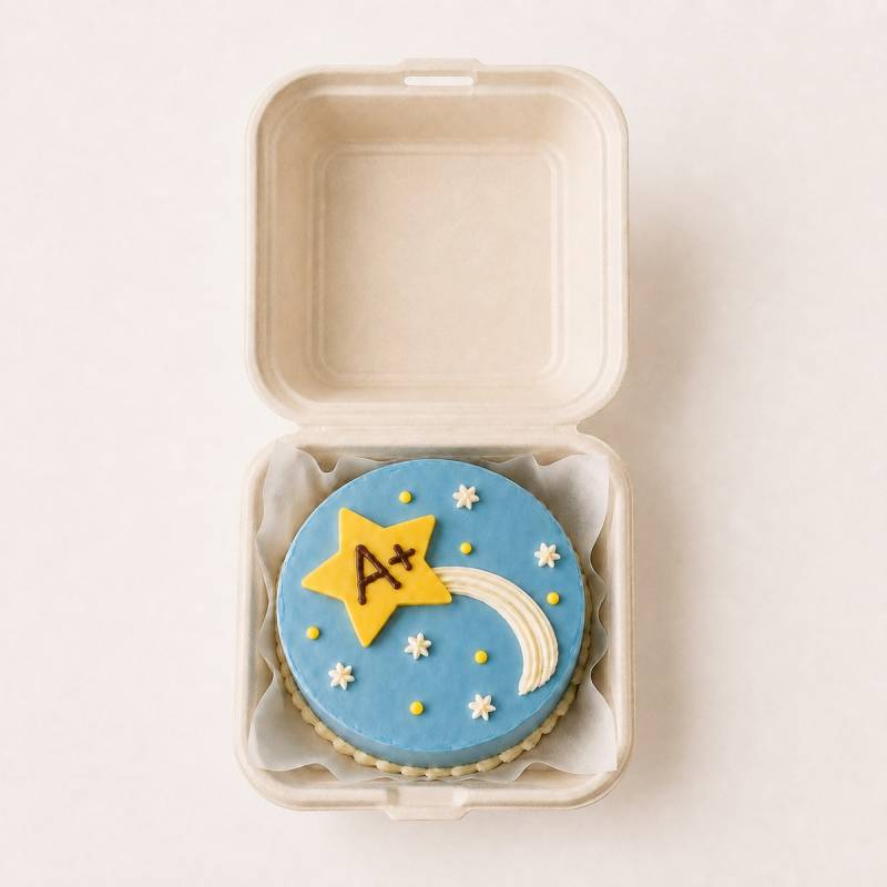 A+ Teachers' Day Bento Cake