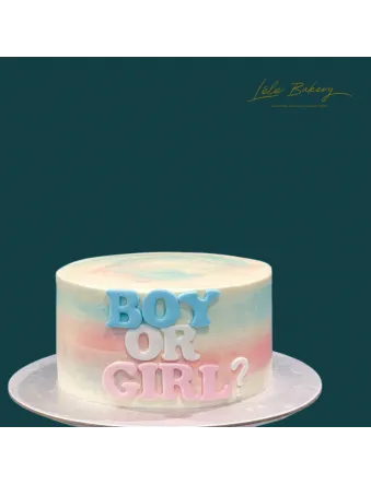 Gender Reveal Cake