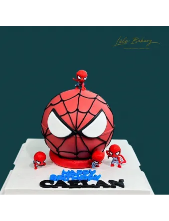 Spiderman Pinata Cake